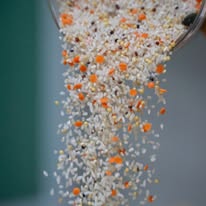 502699310 1301080575360135 2123164791458465759 n