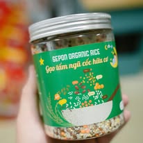 502719273 1301080582026801 3585971081351833277 n