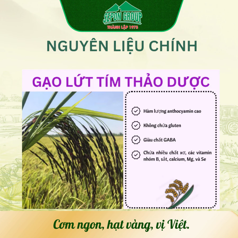 TRÀ GẠO LỨT TÍM SEPON 3 TR