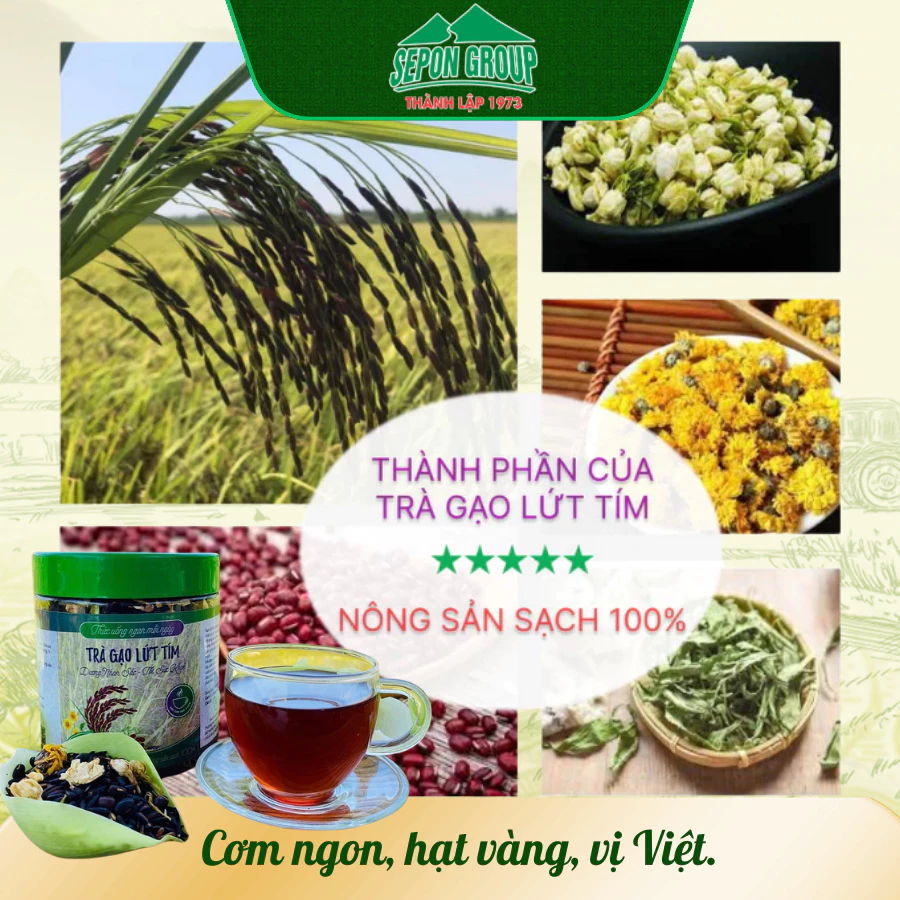 TRÀ GẠO LỨT TÍM SEPON 4 TRA