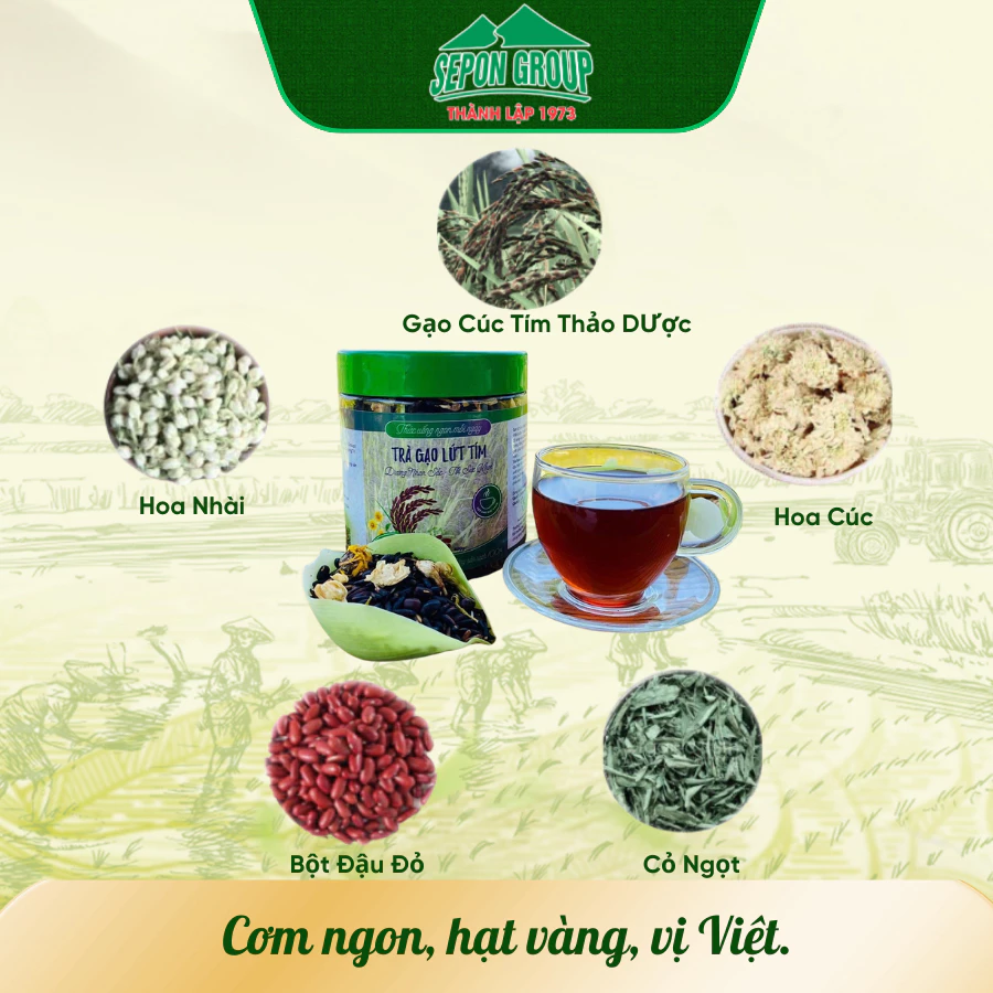 TRÀ GẠO LỨT TÍM SEPON 5 TTRA